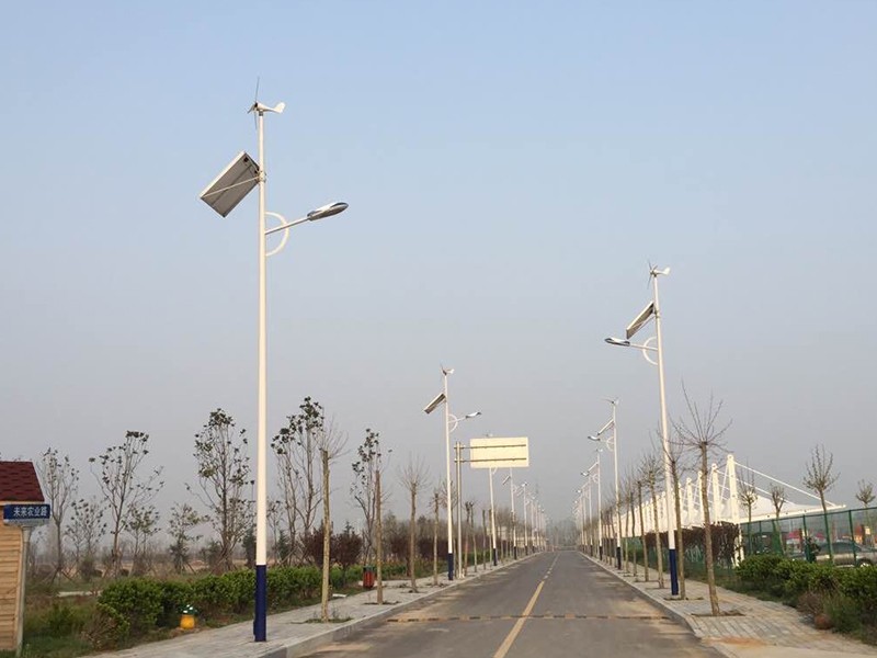 Henan Solar and wind Complementary Street Lighting Case